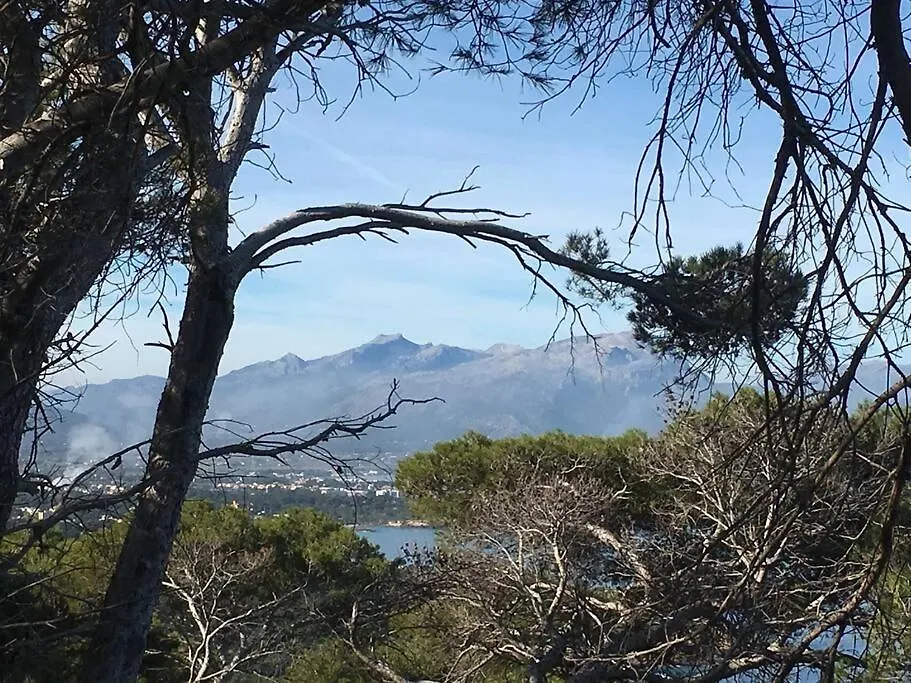 Beach Front Apartment In Cala Marsal With The Sea View ! Portocolom